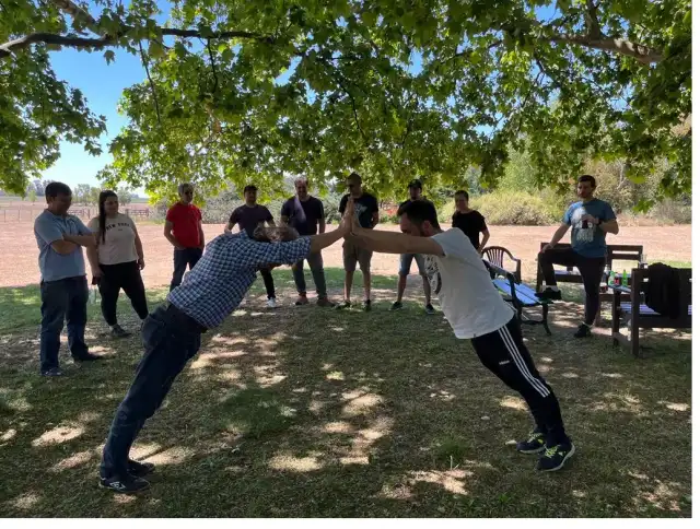 Equipo realizando una actividad grupal de equilibrio bajo los árboles.